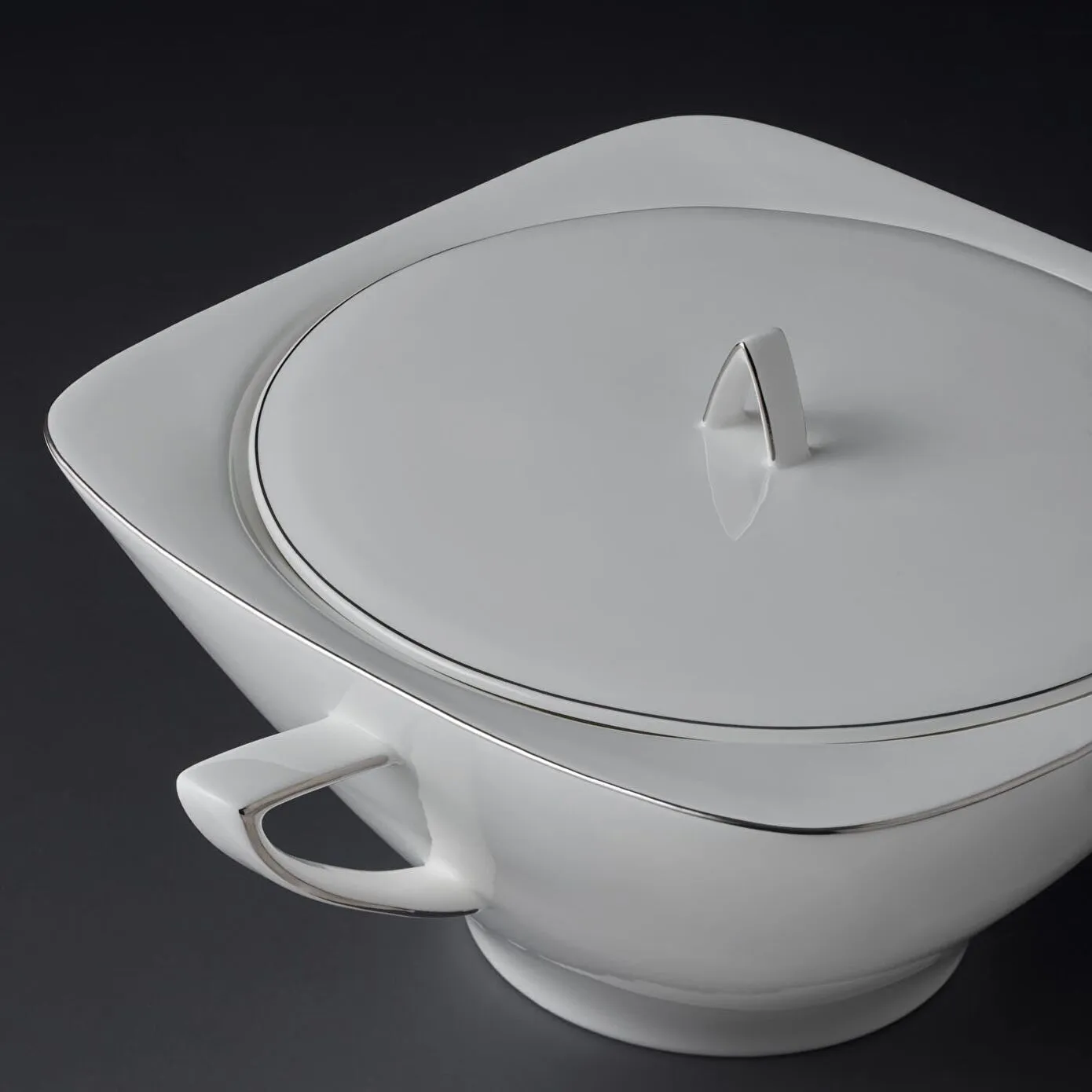 Jumbo Bone China Wind Platin 64-Piece Dinner Set for 12 People, Platin - Image 6